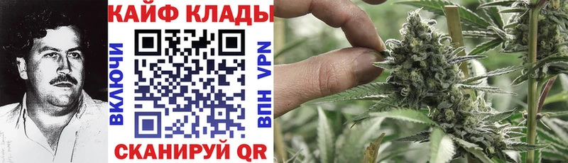 Наркота Новотитаровская Гашиш  Alpha-PVP  Меф мяу мяу  БУТИРАТ  COCAIN  Псилоцибиновые грибы 