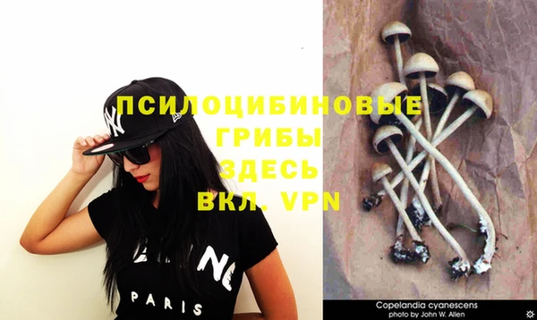 метадон Белоозёрский