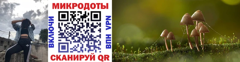 закладки Новотитаровская Галлюциногенные грибы мухоморы